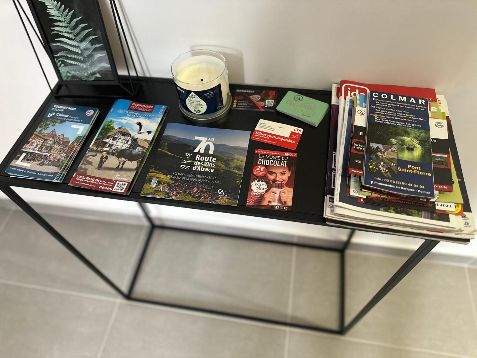 Misic Home كولمار المظهر الخارجي الصورة